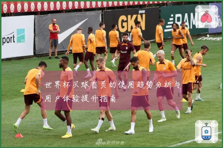 世界杯买球首页的使用趋势分析与用户体验提升指南