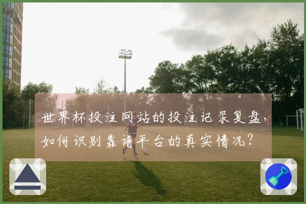 世界杯投注网站的投注记录复盘,如何识别靠谱平台的真实情况?