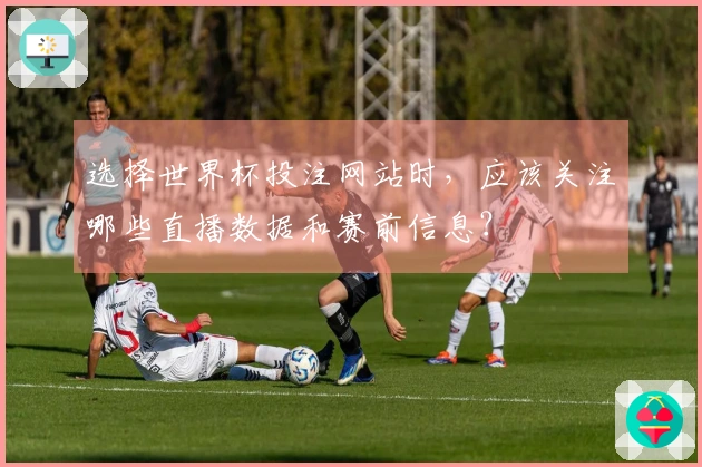 选择世界杯投注网站时,应该关注哪些直播数据和赛前信息?
