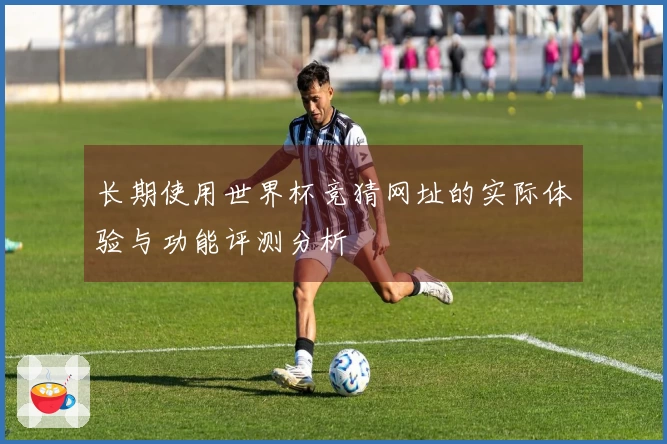 长期使用世界杯竞猜网址的实际体验与功能评测分析