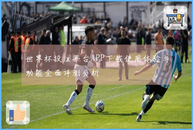 世界杯投注平台APP下载使用体验与功能全面评测分析