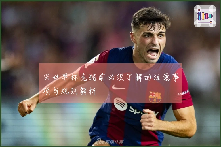 买世界杯竞猜前必须了解的注意事项与规则解析