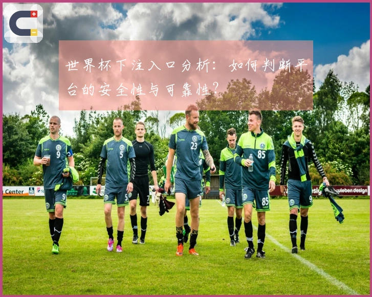 世界杯下注入口分析：如何判断平台的安全性与可靠性？