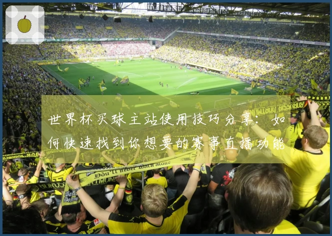 世界杯买球主站使用技巧分享：如何快速找到你想要的赛事直播功能