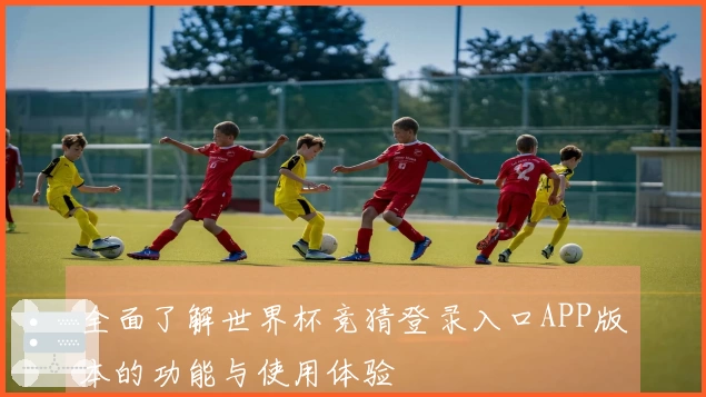全面了解世界杯竞猜登录入口APP版本的功能与使用体验