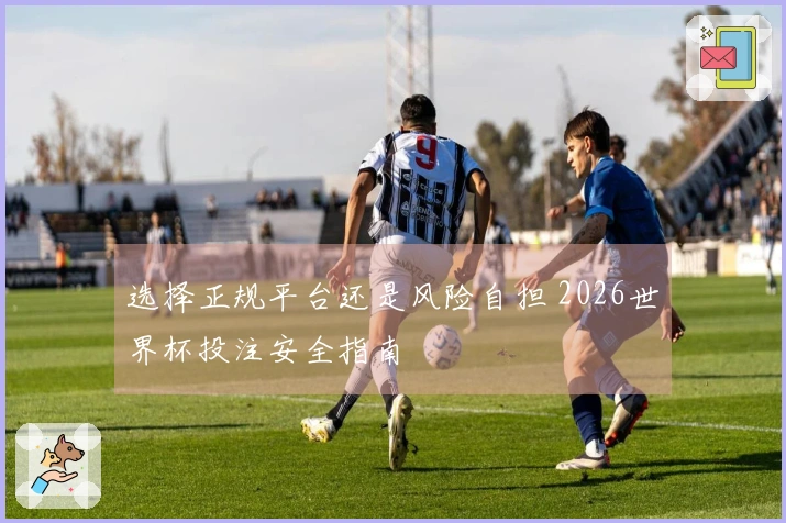 选择正规平台还是风险自担 2026世界杯投注安全指南