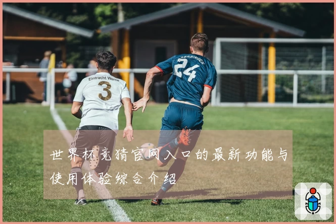 世界杯竞猜官网入口的最新功能与使用体验综合介绍