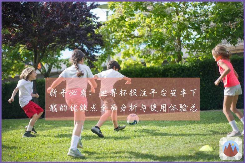 新手必看：世界杯投注平台安卓下载的优缺点全面分析与使用体验总结